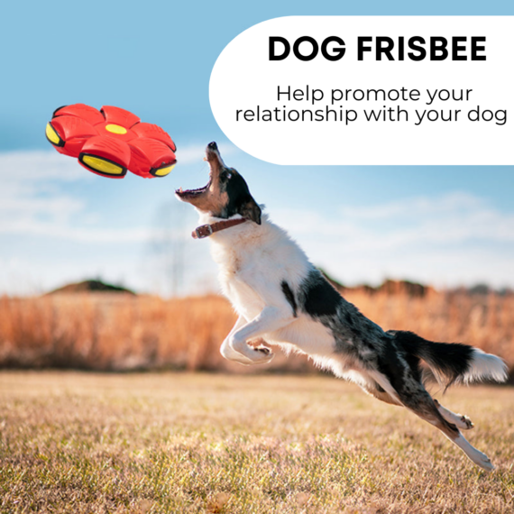 flying saucer ball dog toy - FOFOPO