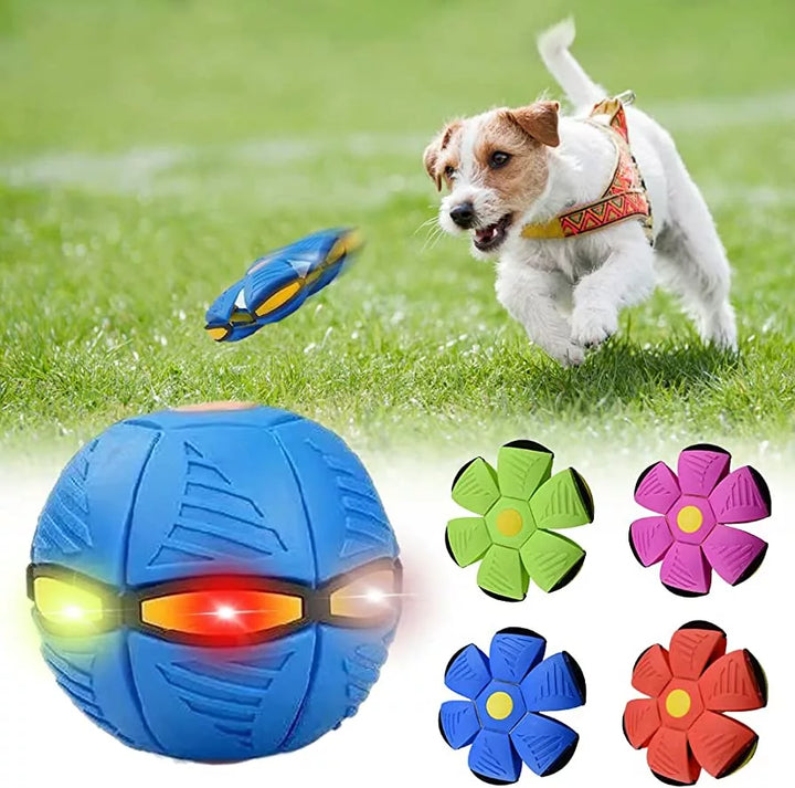 flying saucer ball dog toy - FOFOPO