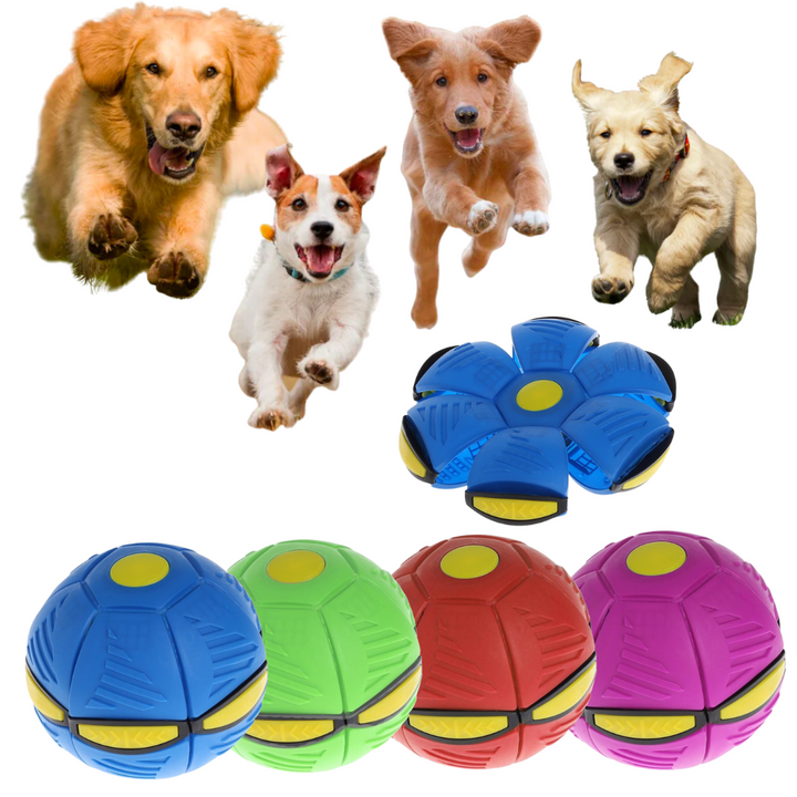 flying saucer ball dog toy - FOFOPO