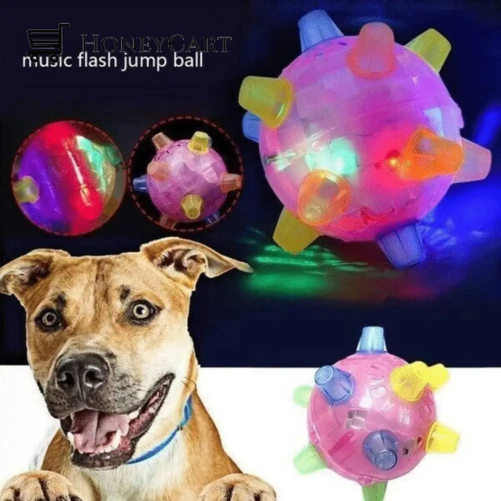 Jumping activation ball for dogs and cats - FOFOPO