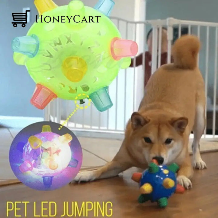 Jumping activation ball for dogs and cats - FOFOPO